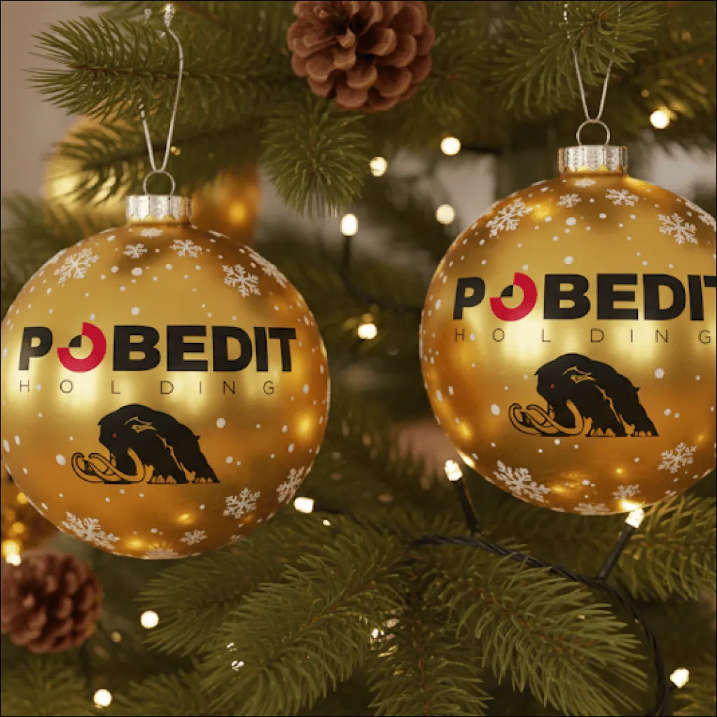 Фирменный мерч POBEDIT с характером: Крупный план материала, фактуры и зоны нанесения.