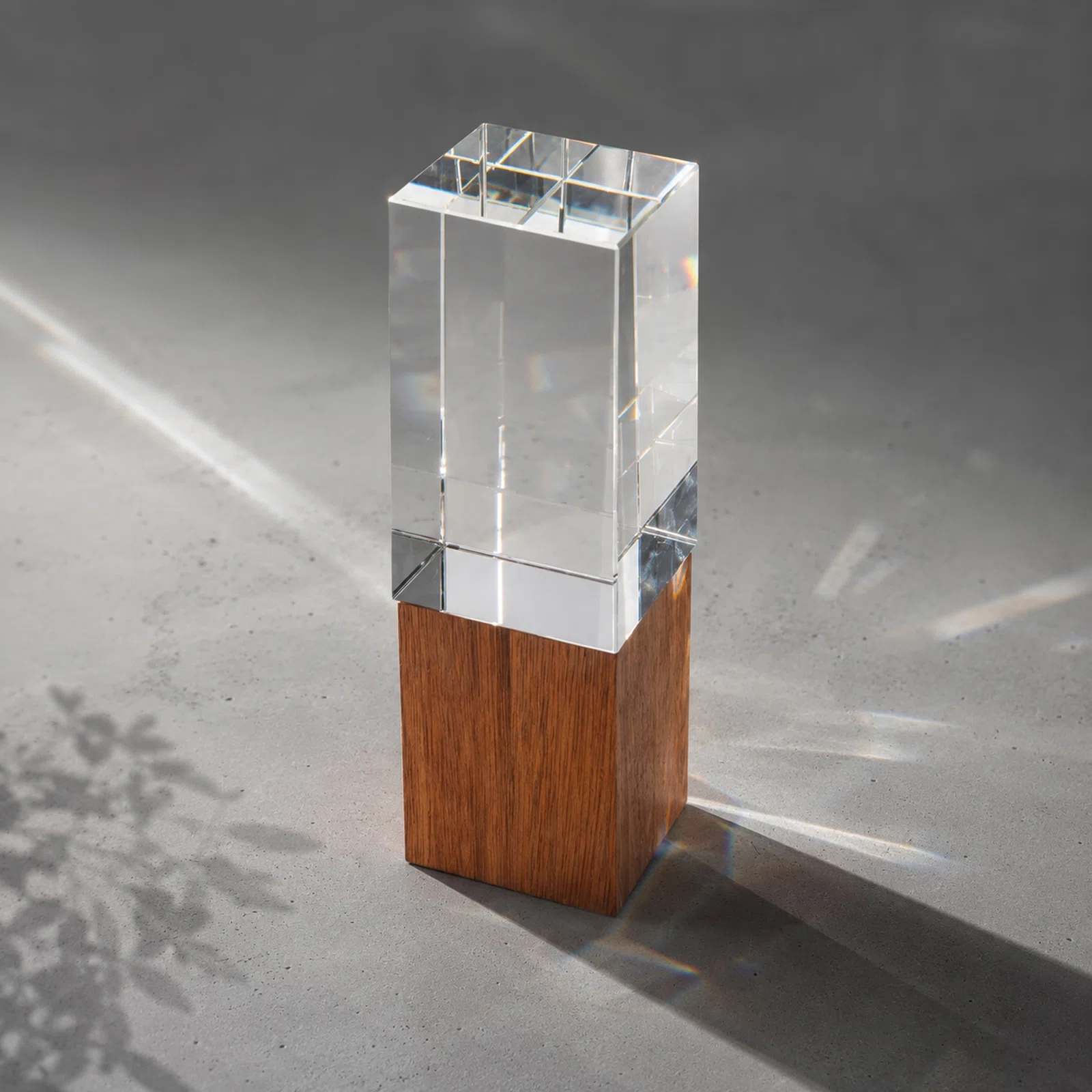 Награда Wood and glass, прозрачный/дерево